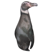 Мягкая игрушка Tallula: Пингвин (37см)