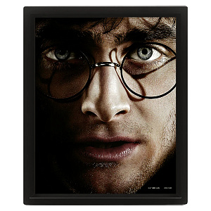 Постер 3D Harry Potter Harry Vs Voldemort (EPPL71335)