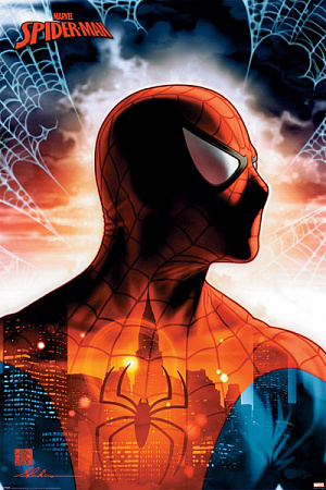 

Постер Maxi Spider-Man – Protector Of The City (PP34505)